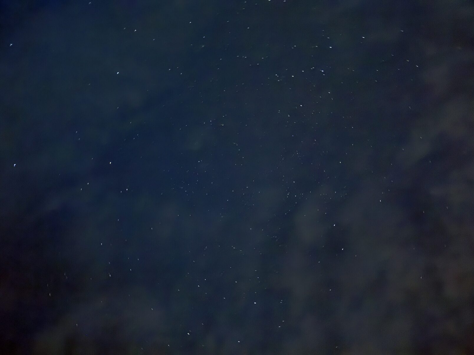 9月イベントで撮影した星空